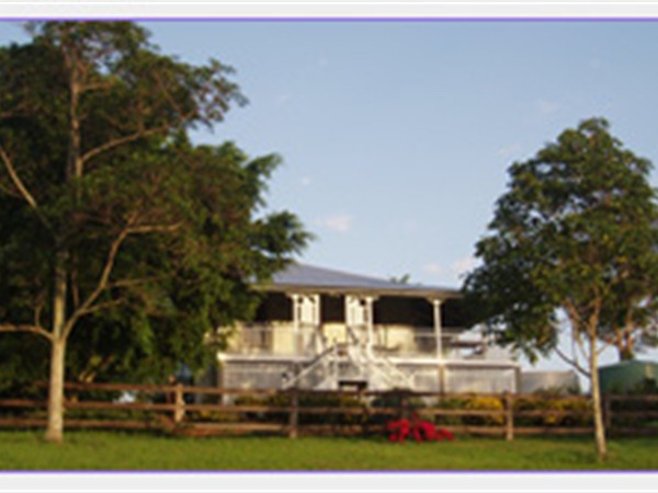 Blue Ridge Lavender Farm and Retreat - Accommodation NSW