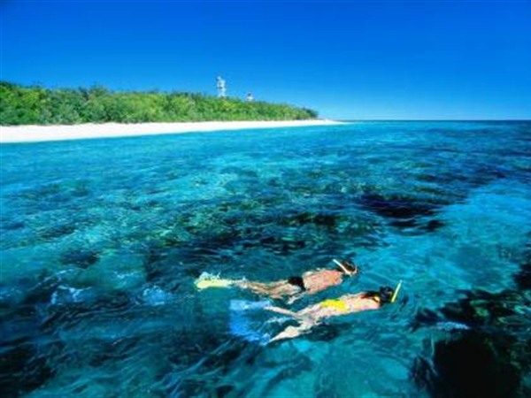 Lady Elliot Island Eco Resort - Day Trip - QLD Tourism