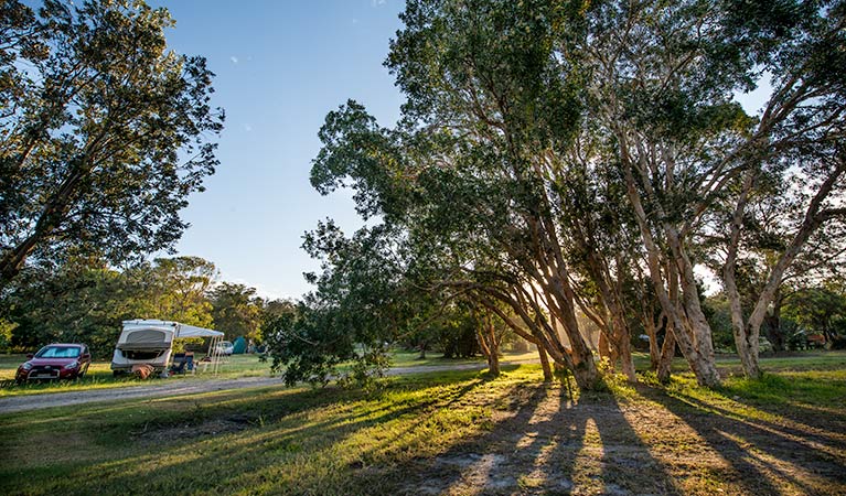 Delicate campground - Accommodation Newcastle