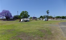 Grafton Showground Caravan Park - Accommodation NSW