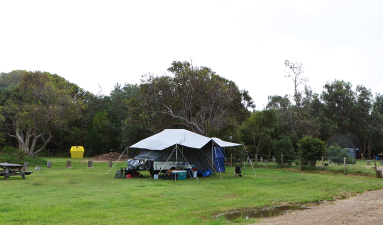 Illaroo campground - New South Wales Tourism 