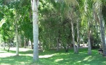 Lismore Palms Caravan Park - Accommodation NSW