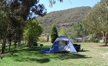 Lithgow Tourist And Van Park - thumb 4