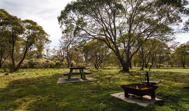 Little Murray campground - Melbourne Tourism
