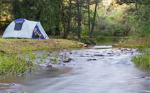 Nymboida Camping  Canoeing - New South Wales Tourism 