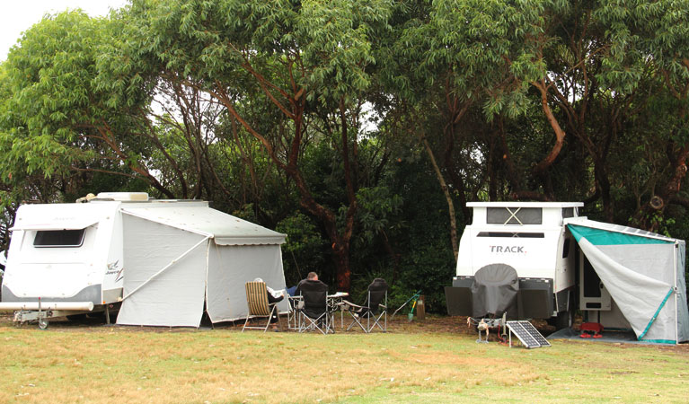 Pretty Beach campground - Murramarang National Park - Melbourne Tourism