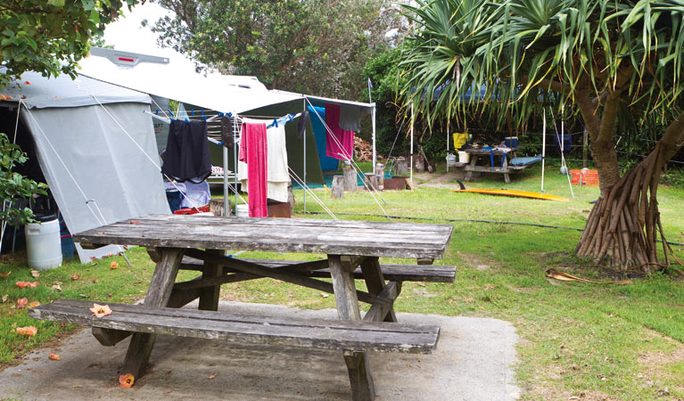 Sandon River campground - New South Wales Tourism 