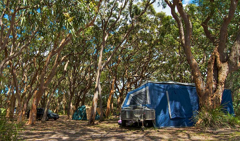 Stewart and Lloyds campground - Accommodation Newcastle