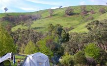 Wee Jasper Reserves Camping Sites - thumb 3
