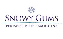 Snowy Gums Chalet - thumb 2