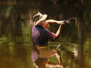 Lochlorian Trout Fishing and Getaway - Melbourne Tourism