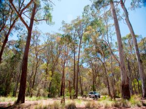 Coolah Tops National Park Camping - Accommodation NSW