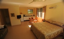 Ned's Bed Horse and Dog-Otel - Clybucca - Australia Accommodation