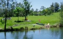 Bellingen Farmstay - Australia Accommodation