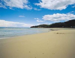 Bay Of Plenty Lodges - New South Wales Tourism 
