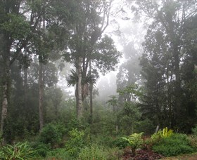 Arborlee Rainforest Retreat - thumb 0