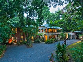 Red Mill House in Daintree - Accommodation NSW