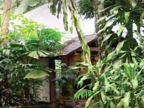 Heritage Lodge and Spa - In the Daintree - Melbourne Tourism