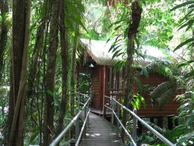 Daintree Wilderness Lodge - thumb 2