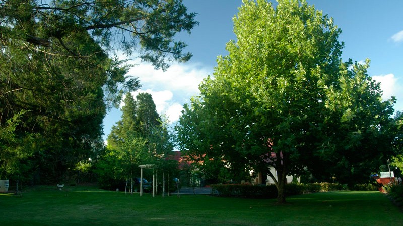 Cotswold Gardens Armidale - Australia Accommodation 26