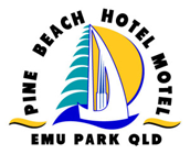 Pine Beach Hotel-Motel - Accommodation NSW