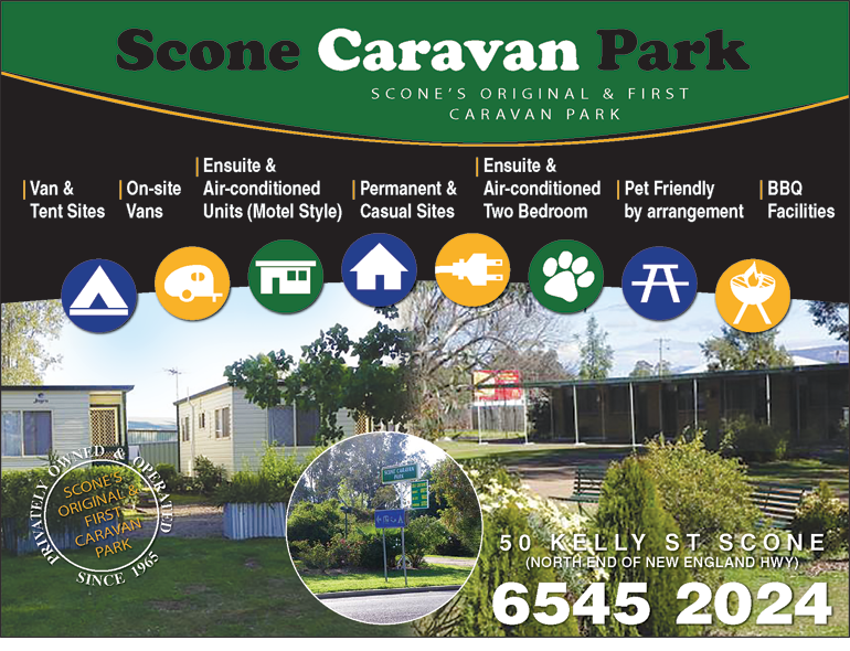 Scone Caravan Park - thumb 5