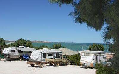 Blue Dolphin Caravan Park and Holiday Village - Australia Accommodation