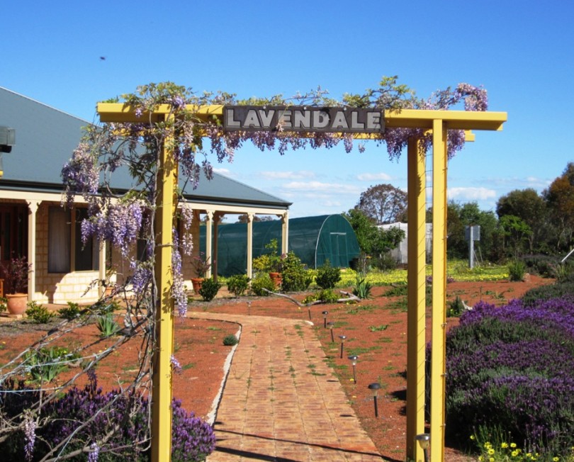 Lavendale Farmstay and Cottages - New South Wales Tourism 