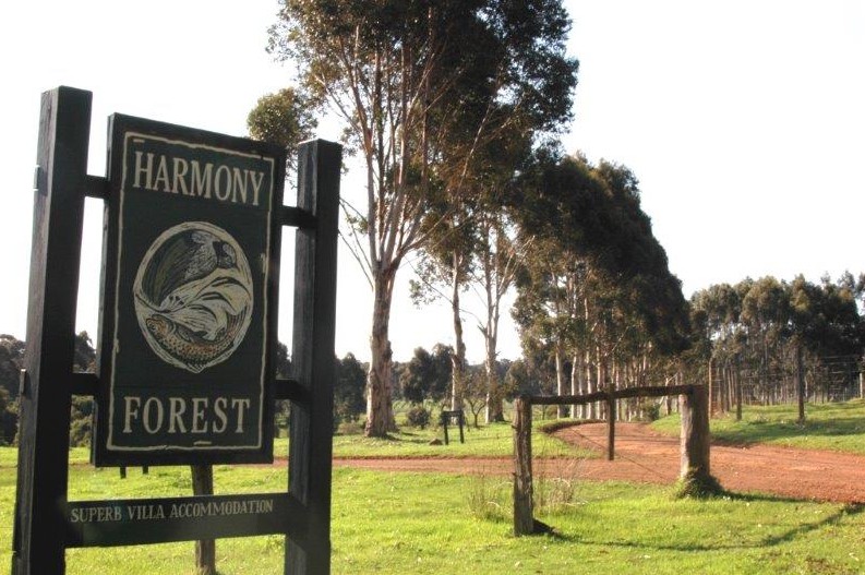 Harmony Forest - New South Wales Tourism 