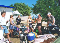 Shark Bay Cottages - New South Wales Tourism 