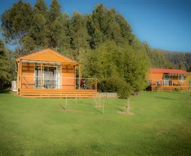 Maydena Country Cabins Accommodation  Alpaca Stud - New South Wales Tourism 