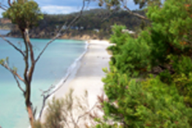 Weilangta Holiday Home - New South Wales Tourism 