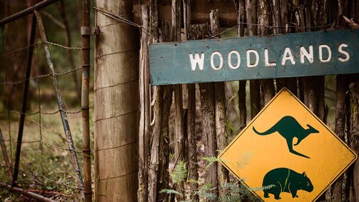 Woodlands Rainforest Retreat - New South Wales Tourism 