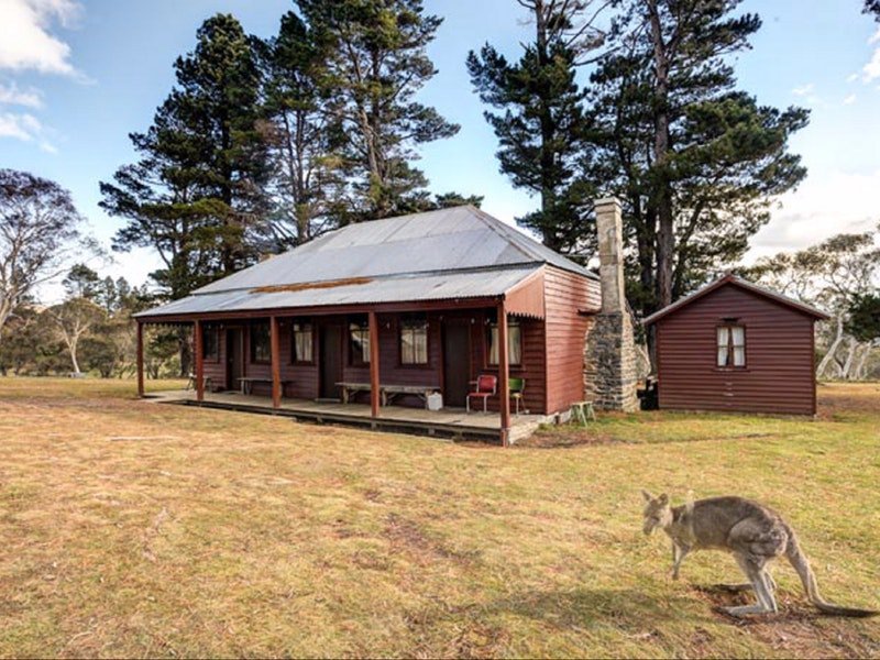 The Pines Cottage - Hotel Accommodation