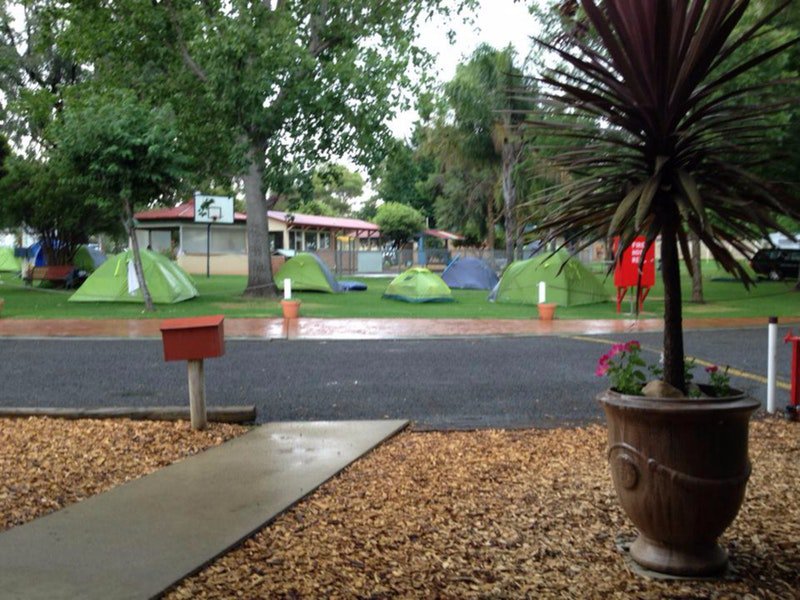 Young Caravan Tourist Park - Accommodation NSW