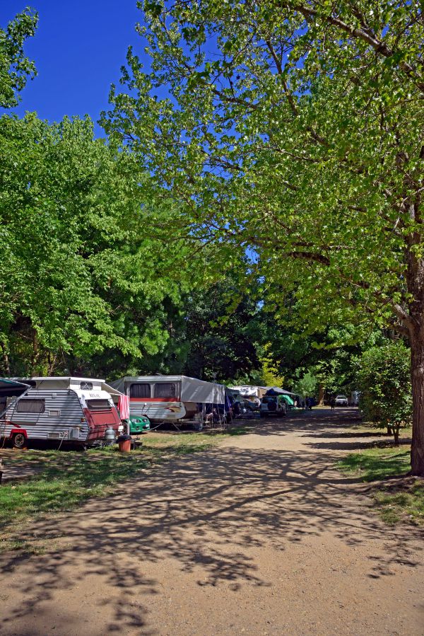 Ardern's Caravan Park, Myrtleford - thumb 1
