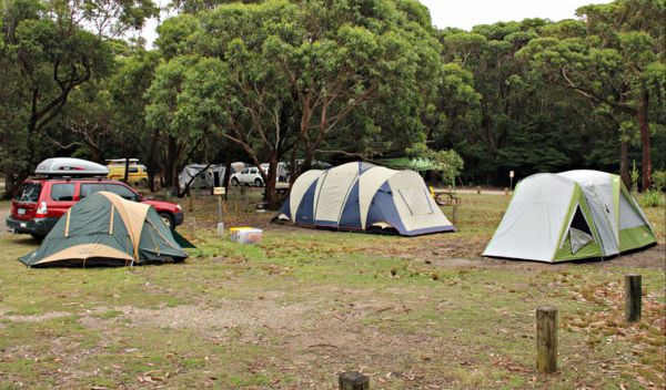 Pretty Beach Campground Murramarang National Park - Accommodation NSW