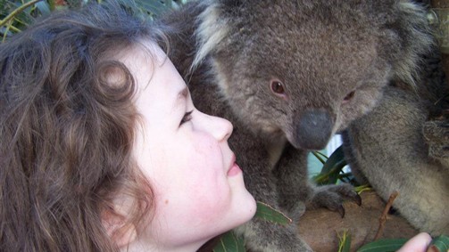 Fauna Australia Wildlife Retreat - New South Wales Tourism 