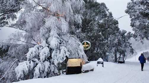Feathertop Alpine Lodge - New South Wales Tourism 