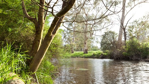 Lonsdale Park On The Yarra - thumb 7