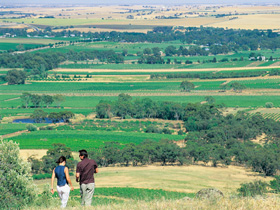 Barossa Best Bed and Breakfast - Accommodation Newcastle