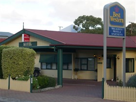 Best Western Melaleuca Apartments - New South Wales Tourism 