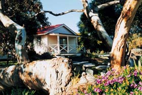 Cape Jervis Holiday Units - Australia Accommodation
