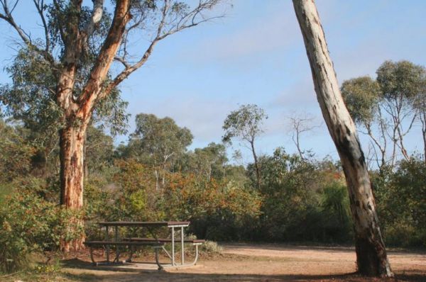 Drummonds Camp at Avon Valley National Park - VIC Tourism