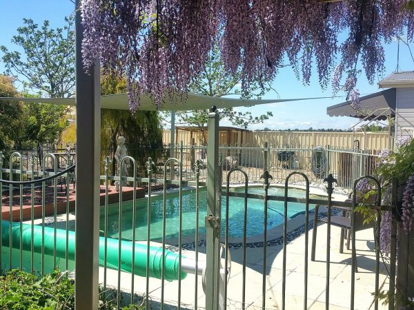 Must Love Dogs BB and Self-Contained Cottage - Accommodation NSW