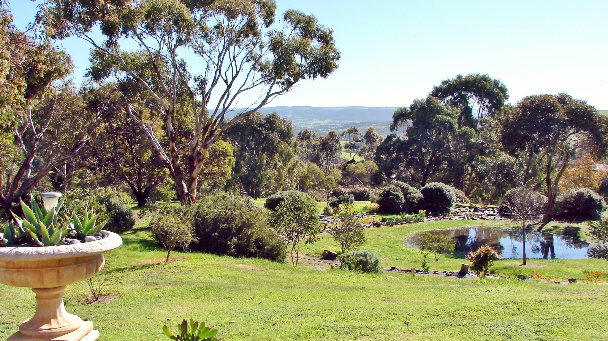 Austiny Bed and Breakfast - Accommodation NSW
