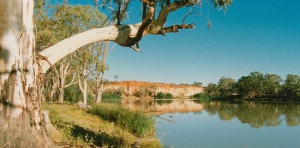 Border Cliffs River Retreat - Melbourne Tourism