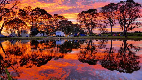 Coonawarra Bush Holiday Park - New South Wales Tourism 