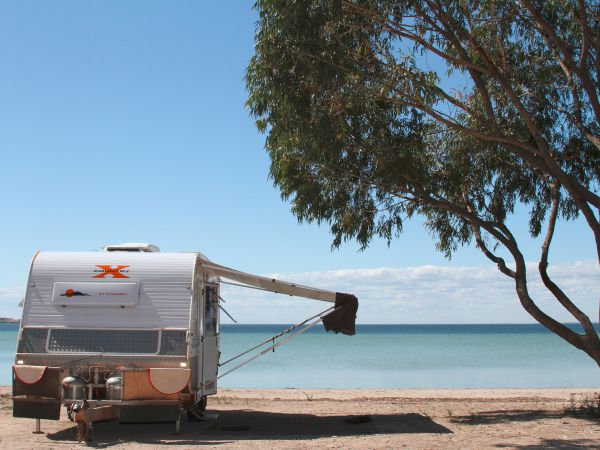 Discovery Parks - Streaky Bay Foreshore - Accommodation Newcastle