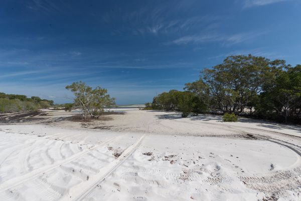 Fraser Island National Park Camping Ground - Stayed